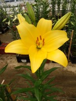 [5055 Palm s Place No02.JPG]